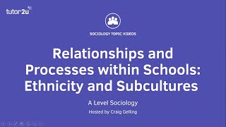 Relationships amp Processes within Schools  Ethnicity amp Subcultures  A Level Sociology [upl. by Ecerahs]