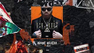 Miky Woodz Ñejo  Aunque Quisiera  El OG Audio Oficial [upl. by Oirromed626]