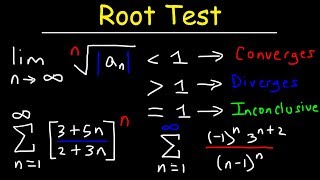 Root Test [upl. by Dorfman]