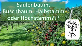 Die 4 Baumformen  Säulenbaum Buschbaum Halbstamm und Hochstamm [upl. by Einamrej]