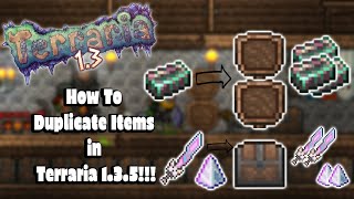 2 AMAZING DUPLICATION GLITCHES TERRARIA 135 amp 14 HOW TO DUPLICATE ANY ITEM IN TERRARIA [upl. by Malsi]