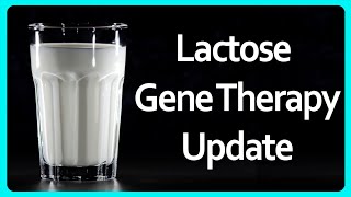 Am I still lactose tolerant  Lactose Gene Therapy Update [upl. by Hsakaa]