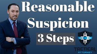 Reasonable Suspicion  Prosecutor Explains [upl. by Tica]