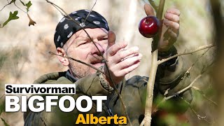 Survivorman Bigfoot  Episode 1  Alberta  Les Stroud  Todd Standing [upl. by Ayana17]