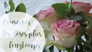 Comment conserver un bouquet de roses plus longtemps [upl. by Nnyled]