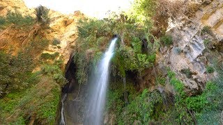 Ein Gedi and the Waterfall Of David [upl. by Guendolen]