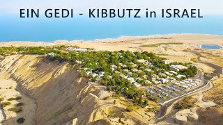 EIN GEDI is a KIBBUTZ on the western shore of the DEAD SEA in Israel [upl. by Ianahs699]