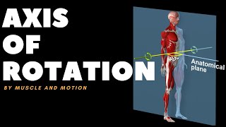 Understanding Axes of MovementRotation [upl. by Eioj]