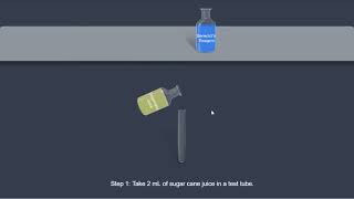 Sucrose Benedicts test [upl. by Nairot309]