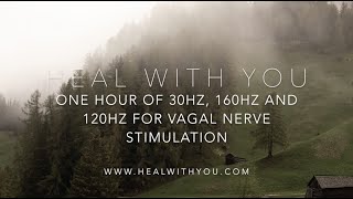 One Hour Solfeggio Frequencies For Vagal Nerve Stimulation  30Hz 160Hz and 120Hz [upl. by Kerstin505]