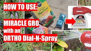 How to use Miracle Gro with ORTHO Dial N Spray [upl. by Lolande]