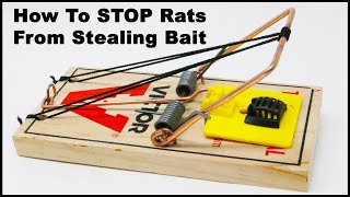 How To STOP Rats From STEALING bait with the Bait Cage Mousetrap Monday [upl. by Mariand]