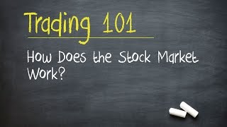 Trading 101 How Does the Stock Market Work [upl. by Worrad768]