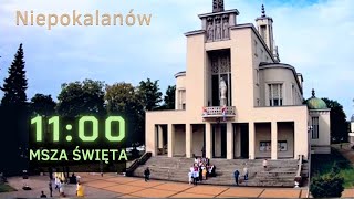 1109 g1100 Msza na żywo  NIEPOKALANÓW  Bazylika [upl. by Otirecul936]