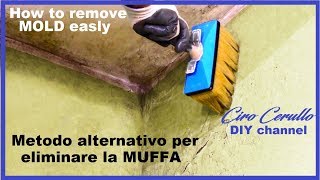 ELIMINARE la MUFFA tutorial rimozione muffa veloce Remove MOLD with little expense AlcasItalia [upl. by Fraase]