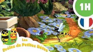 DRÔLES DE PETITES BÊTES  1 Heure  Compilation 02 [upl. by Hctud]