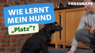 Hundekommando Platz  So lernt euer Hund quotPlatzquot [upl. by Rakso297]