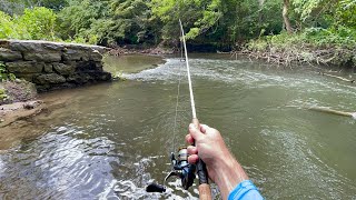 Tiny Creek Fishing for BIG TROUT [upl. by Coh813]