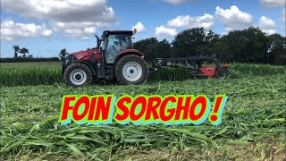 Foin de sorgho 2019 [upl. by Nyrol154]