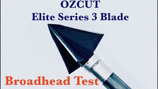 Best Broadheads For Traditional Bowhunting [upl. by Nnayrrehs318]