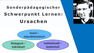 Ursachen für den sonderpädagogischen Schwerpunkt Lernen [upl. by Loriner]