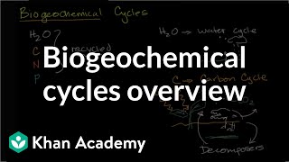 Biogeochemical cycles  Ecology  Khan Academy [upl. by Nohshan]