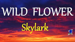 WILD FLOWER  SKYLARK lyrics HD [upl. by Evslin]