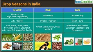 Cropping Seasons In India  Kharif Rabi Zaid [upl. by Yojal]