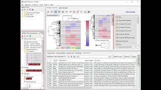 RNASeq Data Analysis Tutorial 06  Extracting Differentially Expressed Genes DEG [upl. by Dinsmore]