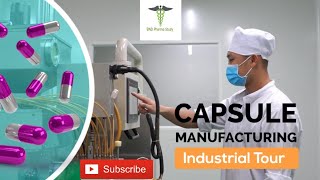 Capsules Manufacturing Process  Soft Gelatin Capsules [upl. by Auqinot]