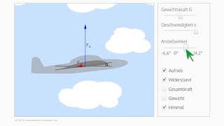 Physik des Fliegens – einfach erklärt [upl. by Ishmael572]