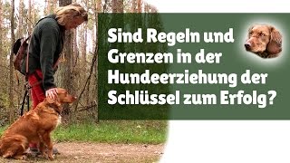 Hundeerziehung ► Sind Regeln und Grenzen in der Hundeerziehung der Schlüssel zum Erfolg [upl. by Mancino627]