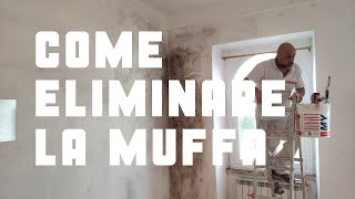 Come eliminare la muffa dai muri [upl. by Anelat878]