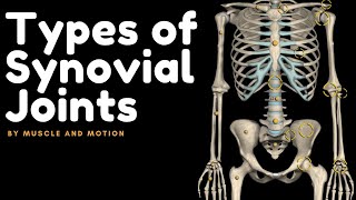 Types of Synovial Joints [upl. by Mindy]