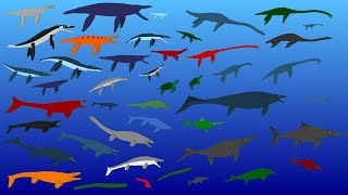 44 Largest Extinct Reptiles  Size Comparison  Plesiosaurs Pliosaurs Ichtyosaurs Mosasaurs [upl. by Goldner]