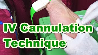 How to Insert IV Cannula  IV Cannulation Technique  Branula  Intravenous Catheter [upl. by Geesey]