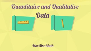 Qualitative and Quantitative Data [upl. by Raycher]