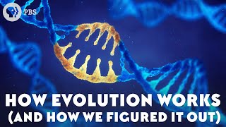 How Evolution Works And How We Figured It Out [upl. by Nager]