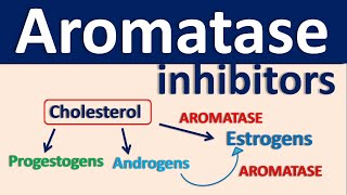 Aromatase inhibitors [upl. by Behm]