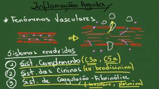 Inflamação Aguda  Resumo  Patologia Geral [upl. by Oiludbo836]