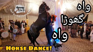 Amazing Horse Dance with Dhool in Pakistan  Mehndi Function in Islamabad [upl. by Thornburg90]