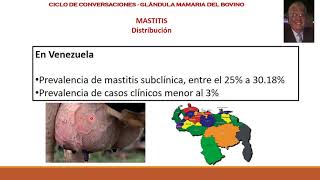 Mastitis Bovina Definición y Epidemiologia [upl. by Eetnuahs564]