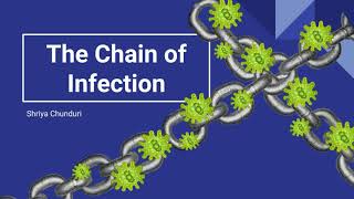 The Chain of Infection  Shriya C [upl. by Yedsnil938]