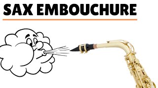 How To Blow Your Sax Embouchure Beginner Saxophone Lesson [upl. by Aicillyhp637]