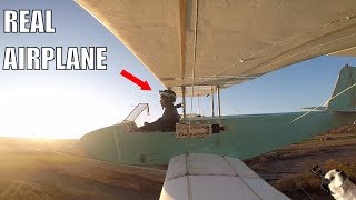 HomeMade Electric Airplane [upl. by Nnairda]