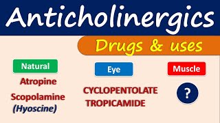 Anticholinergics  Drugs and uses [upl. by Carnes]