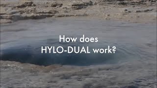 How does HYLODUAL® work [upl. by Kaslik]