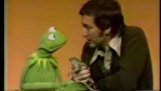 Sesame Street  Kermit and Bob Lecture about frogs [upl. by Rudiger]