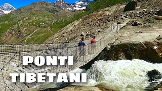 Sentiero GLACIOLOGICO dei FORNI  Trekking Valtellina [upl. by Merkle]