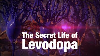 The Secret Life of Levodopa [upl. by Leifer]